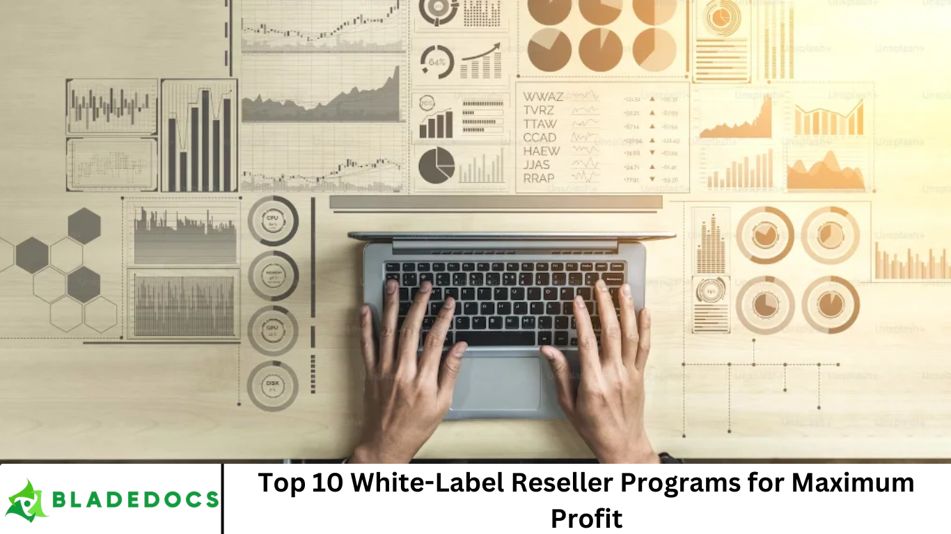 Top 10 White-Label Reseller Programs for Maximum Profit