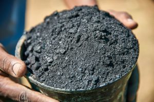 hands holding dark soil in a farm field